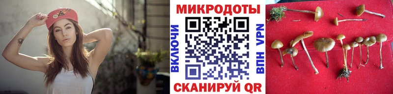 Псилоцибиновые грибы ЛСД  купить   Черкесск 