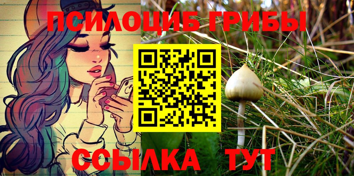 Галлюциногенные грибы Magic Shrooms Черкесск